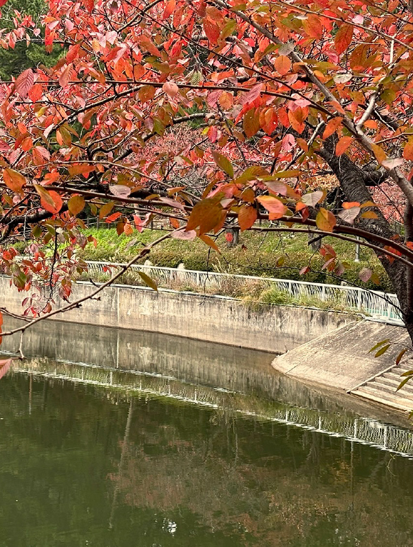 A 2-Day Busan Getaway Following the Colors of Autumn