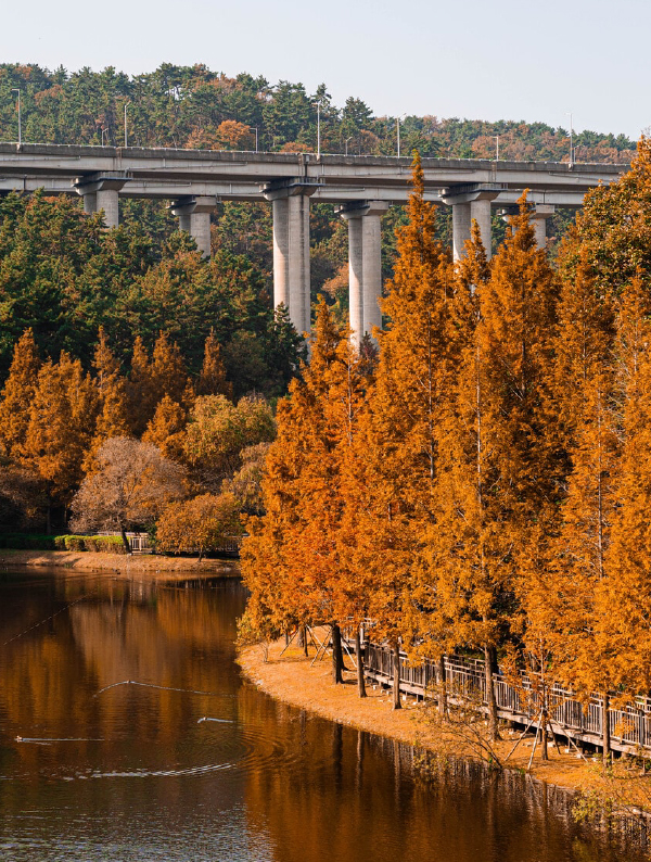 부산에서 요즘 핫해진 가을 명소 추천