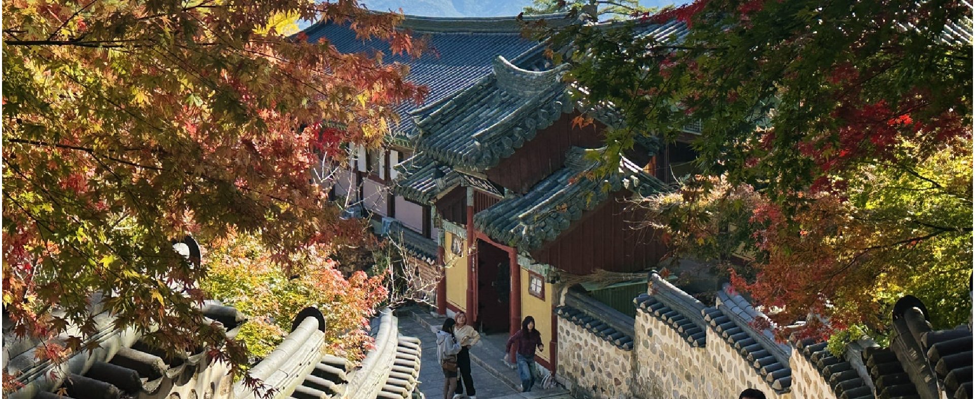 Chasing Fall Colors in Busan: A Day at Geumjeongsan Mountain & Beomeosa Temple