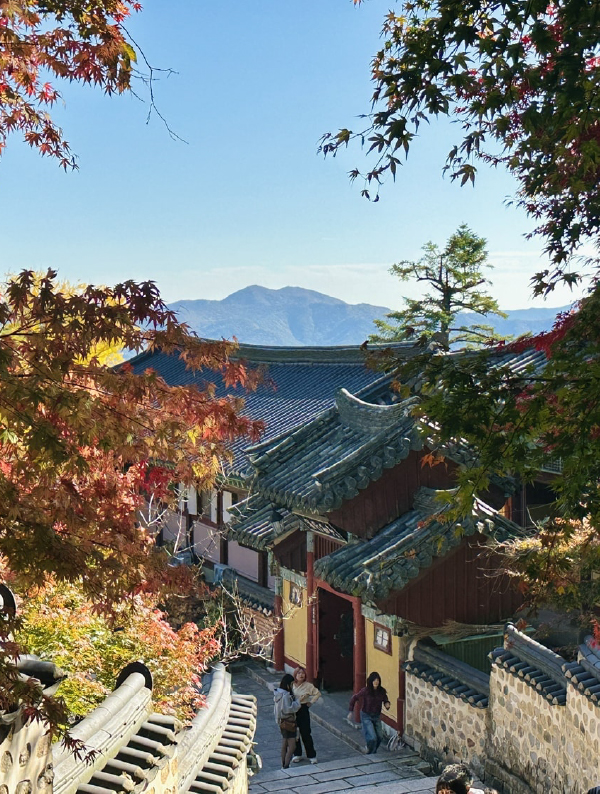 Chasing Fall Colors in Busan: A Day at Geumjeongsan Mountain & Beomeosa Temple