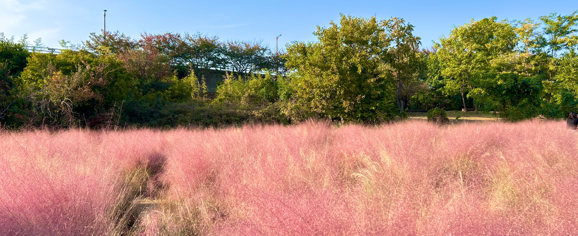 在釜山，漫溯一场秋光