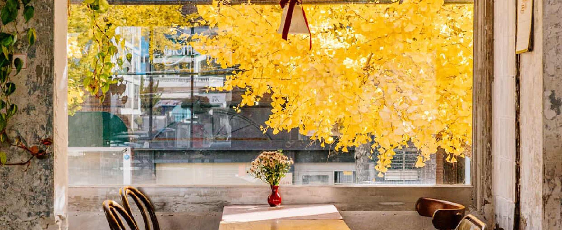 釜山秋日的邂逅：與咖啡共品秋葉的靜好