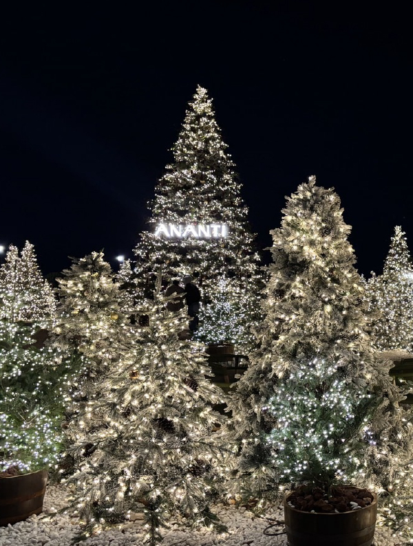 Four Light Festivals Illuminating Busan’s Winter in 2025