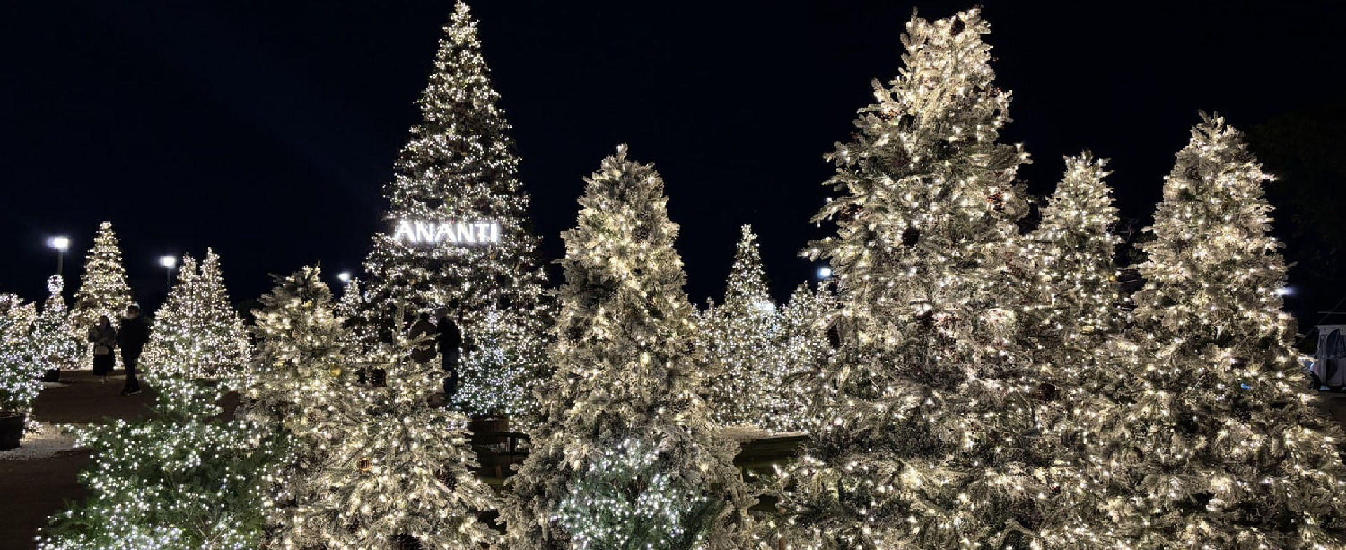 点缀2025釜山冬日的四大灯光节