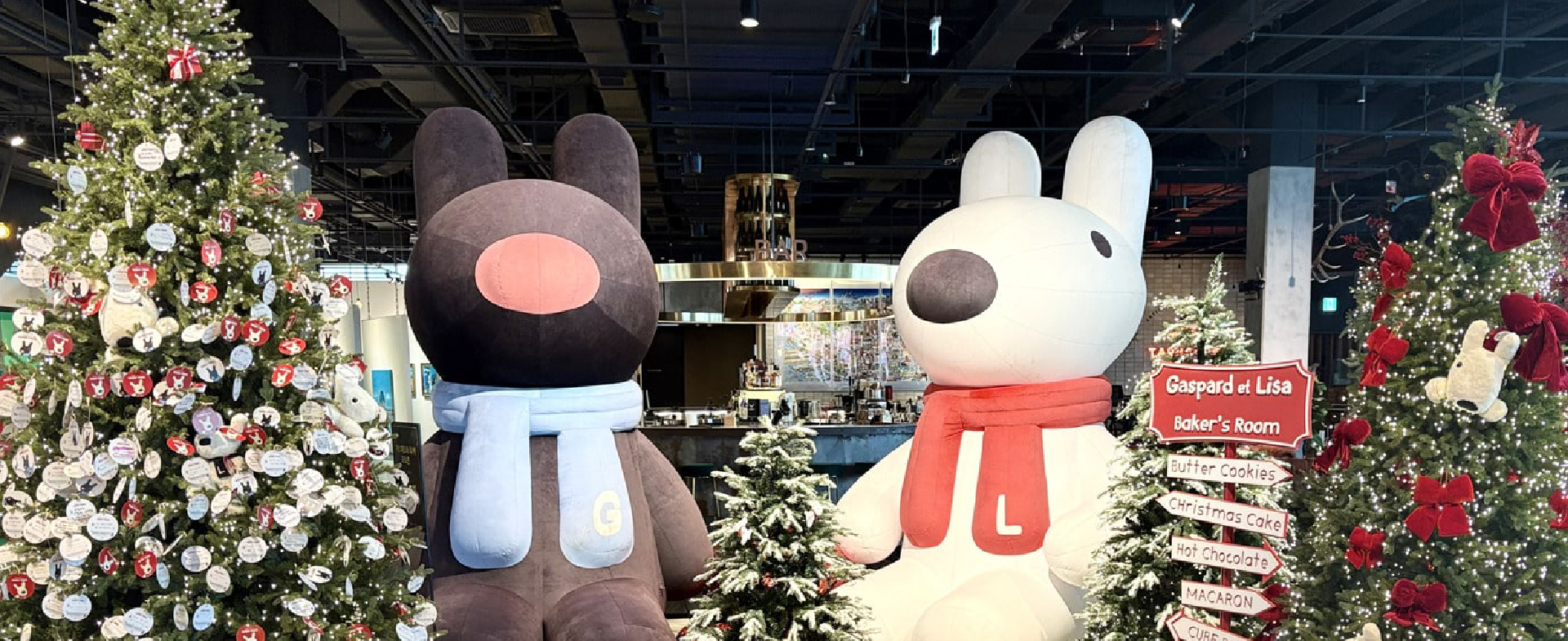 大切な人とクリスマスシーズンを満喫する！半日コース