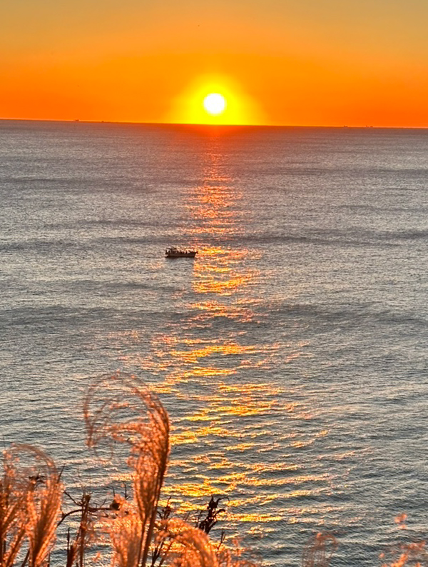 Countdown to Sunrise: A No-Overnight, Two-Day Year-End Trip in Busan