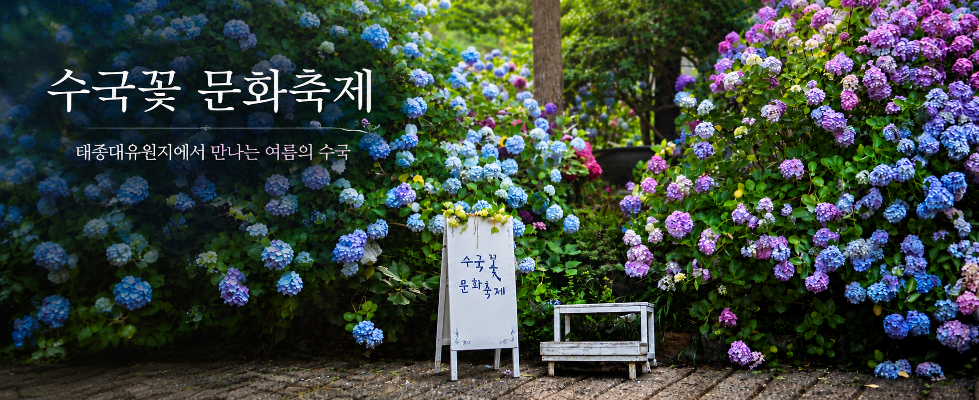 제16회 수국꽃 문화축제